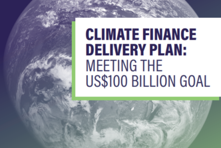This image displays the cover image of the following report: "Climate Finance Delivery Plan: Meeting the US$100 Billion Goal"